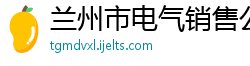 兰州市电气销售公司